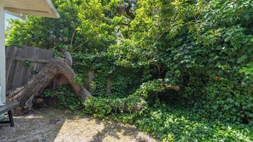 A garden area with a wooden fence, a large tree, and dense foliage.