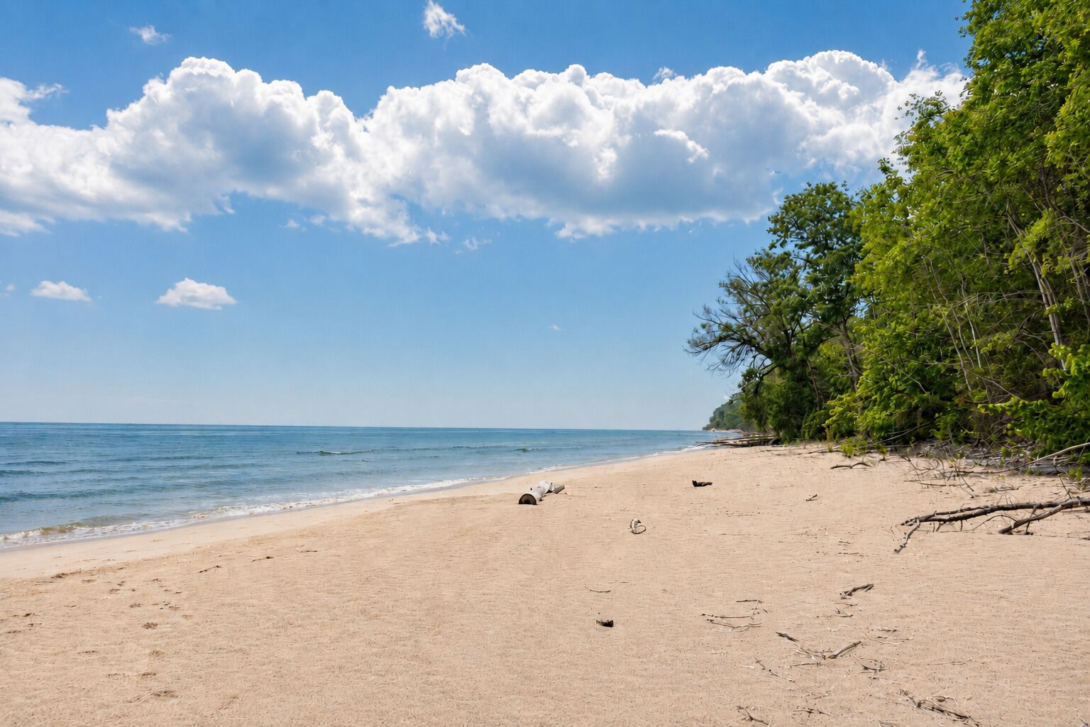 A beach with a clear sky, calm sea, and dense greenery on the right.