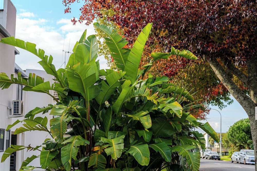 Te Awa Suites