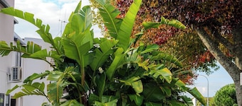 Te Awa Suites