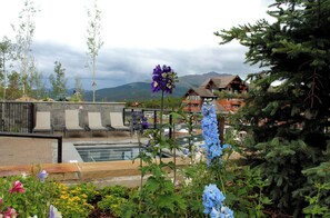 Terraço/pátio