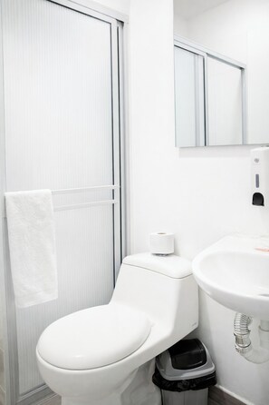 Dusche, Handtücher, Toilettenpapier