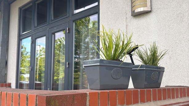 Een gevel met bakstenen muur, een raam met metalen kader en twee potten met planten op de dakrand.