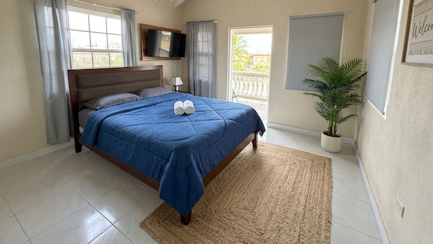 Quarto com cama, televisão, janela, planta e varanda.