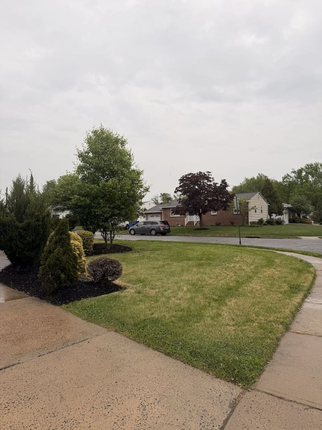A residential street with houses, a driveway, and a car parked on the street.