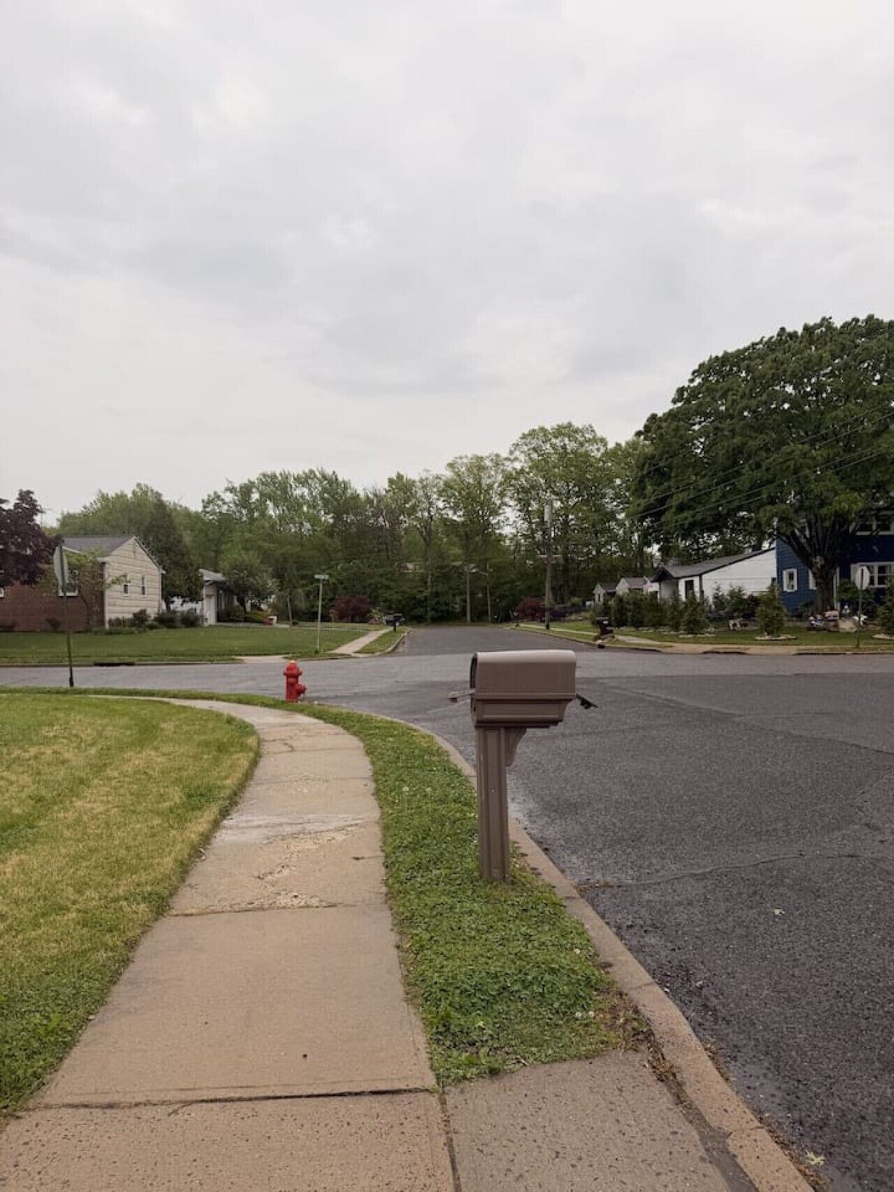 Une rue résidentielle bordée de maisons, avec une boîte aux lettres et un hydrant rouge.