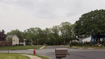 Une rue résidentielle bordée de maisons, avec une boîte aux lettres et un hydrant rouge.