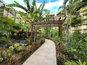 Property grounds - Oceanfront Two Bedroom at Kaanapali Shores #504 (Lahaina)