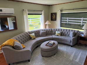 Smart TV, fireplace, books, stereo