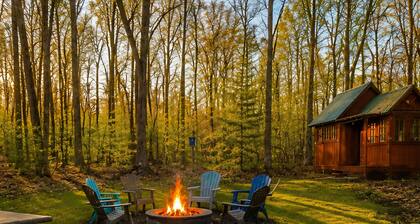 .8 Mile from South Higgins Lake Park 2.5 bedroom Firepit SUP Game Room Fireplace