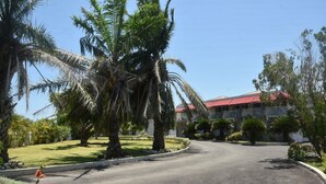 A curved driveway leading to a building with a red roof, surrounded by palm trees and well-maintained lawns. - Tamarind Tree Hotel (Runaway Bay)
