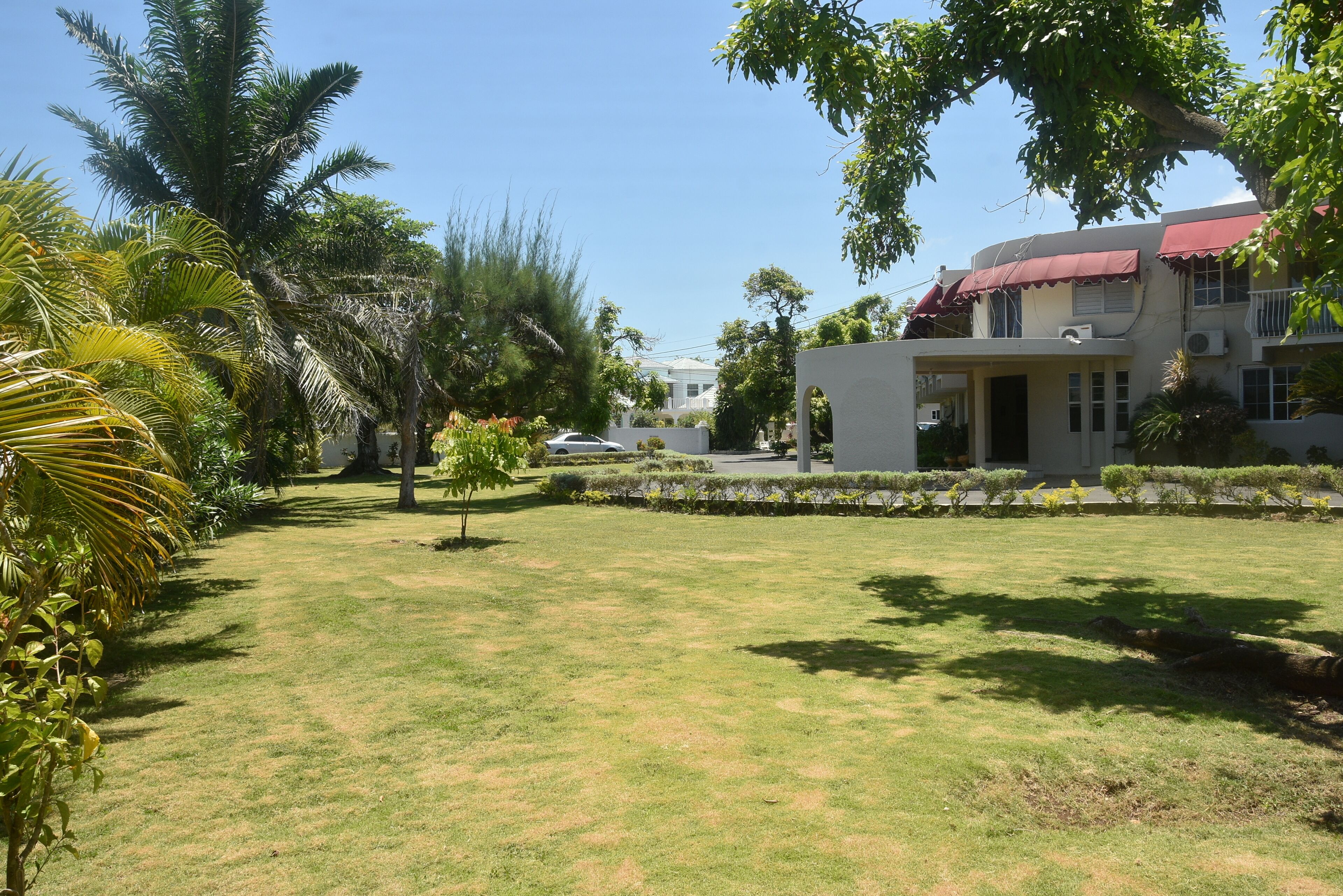 Jardin