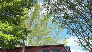 Un edificio rojo con una terraza de madera, una decoración con forma de estrella y una tabla de surf apoyada contra la pared.