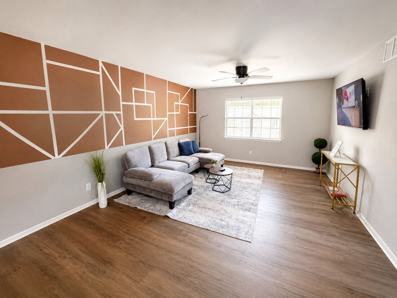 TV, computer monitors
