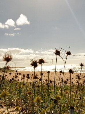 A beach with tall grasses and a clear sky. - Quebec House | 5 Minutes from the Beach | Comfort for the Family (Touros)