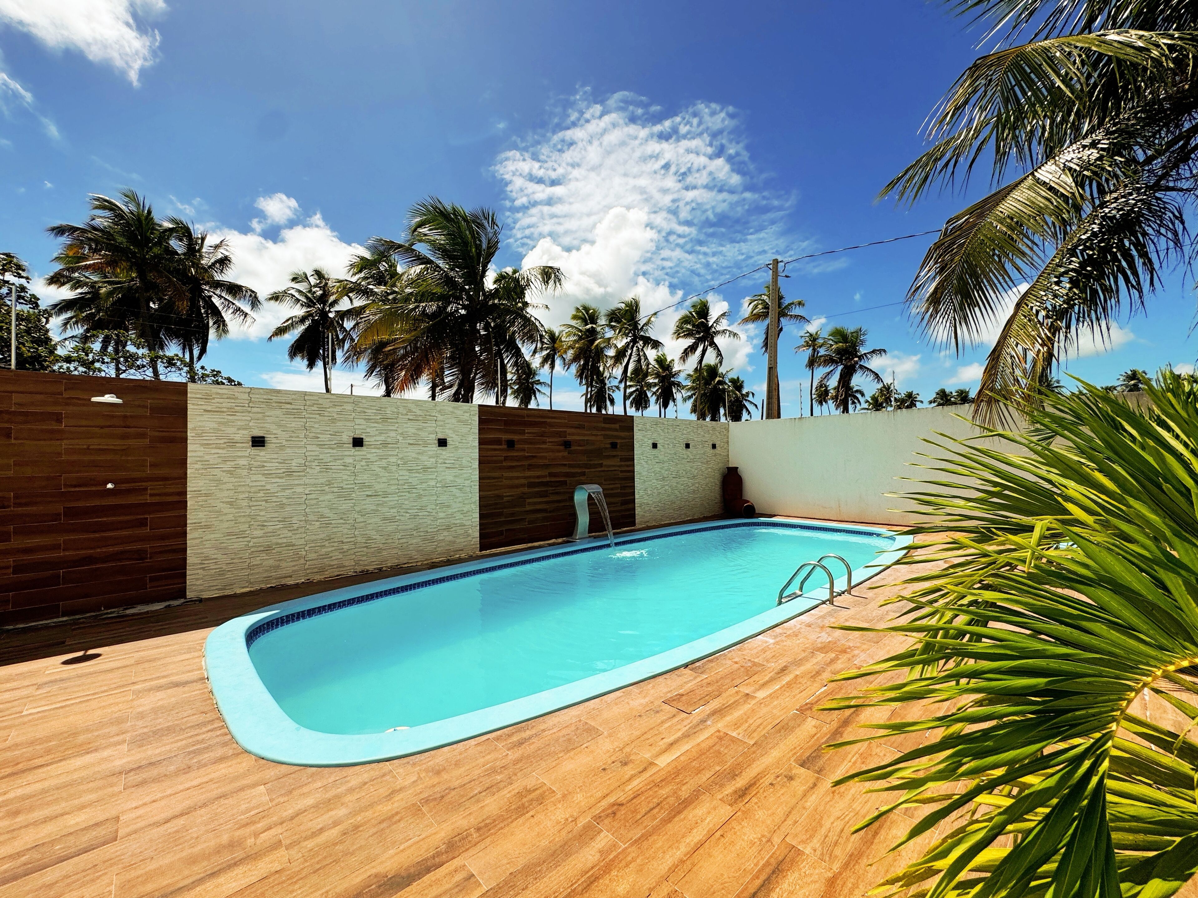 Una piscina con muelle de madera, rodeada de palmeras y un cielo despejado.