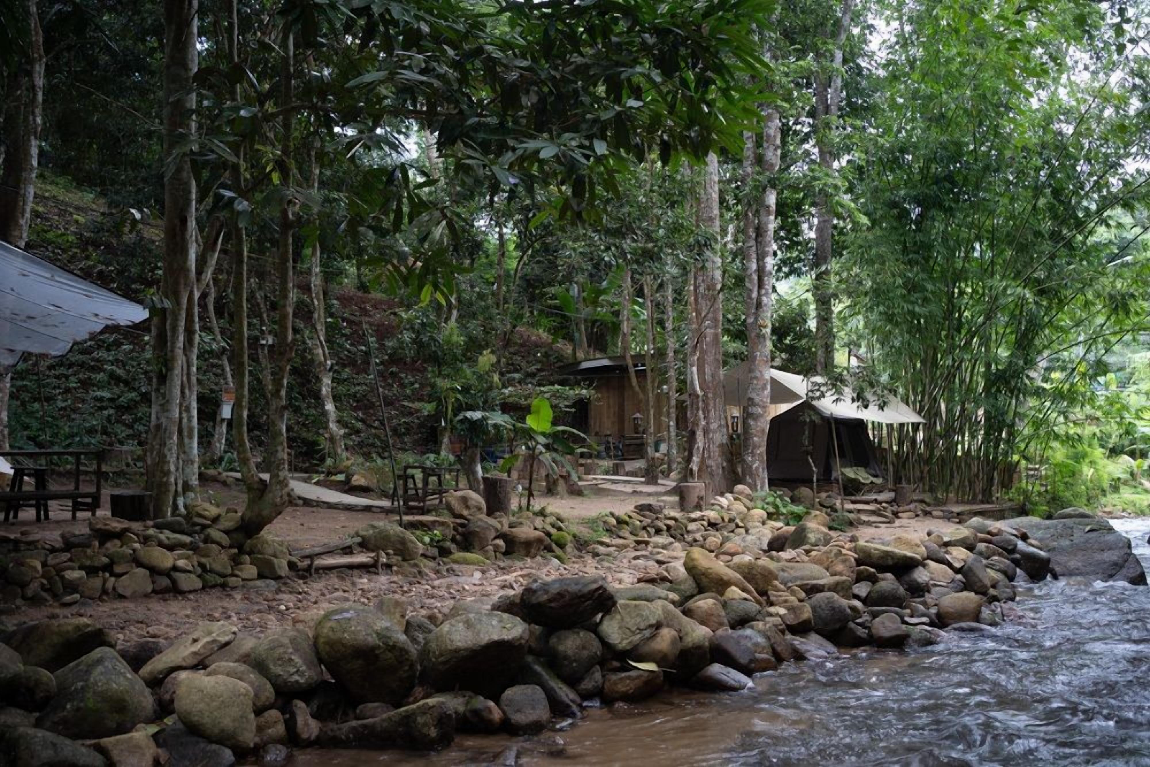 A natural setting with a river, rocks, trees, and a wooden structure.