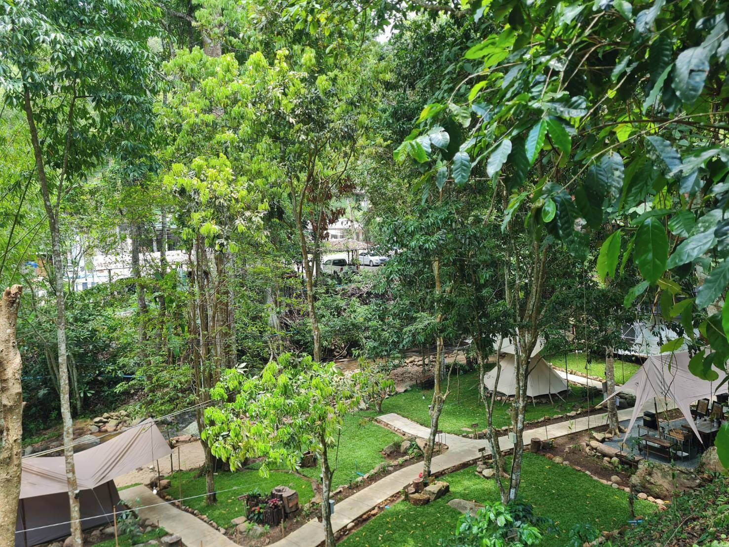 A campsite with tents, trees, and a grassy area.
