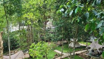 A campsite with tents, trees, and a grassy area.