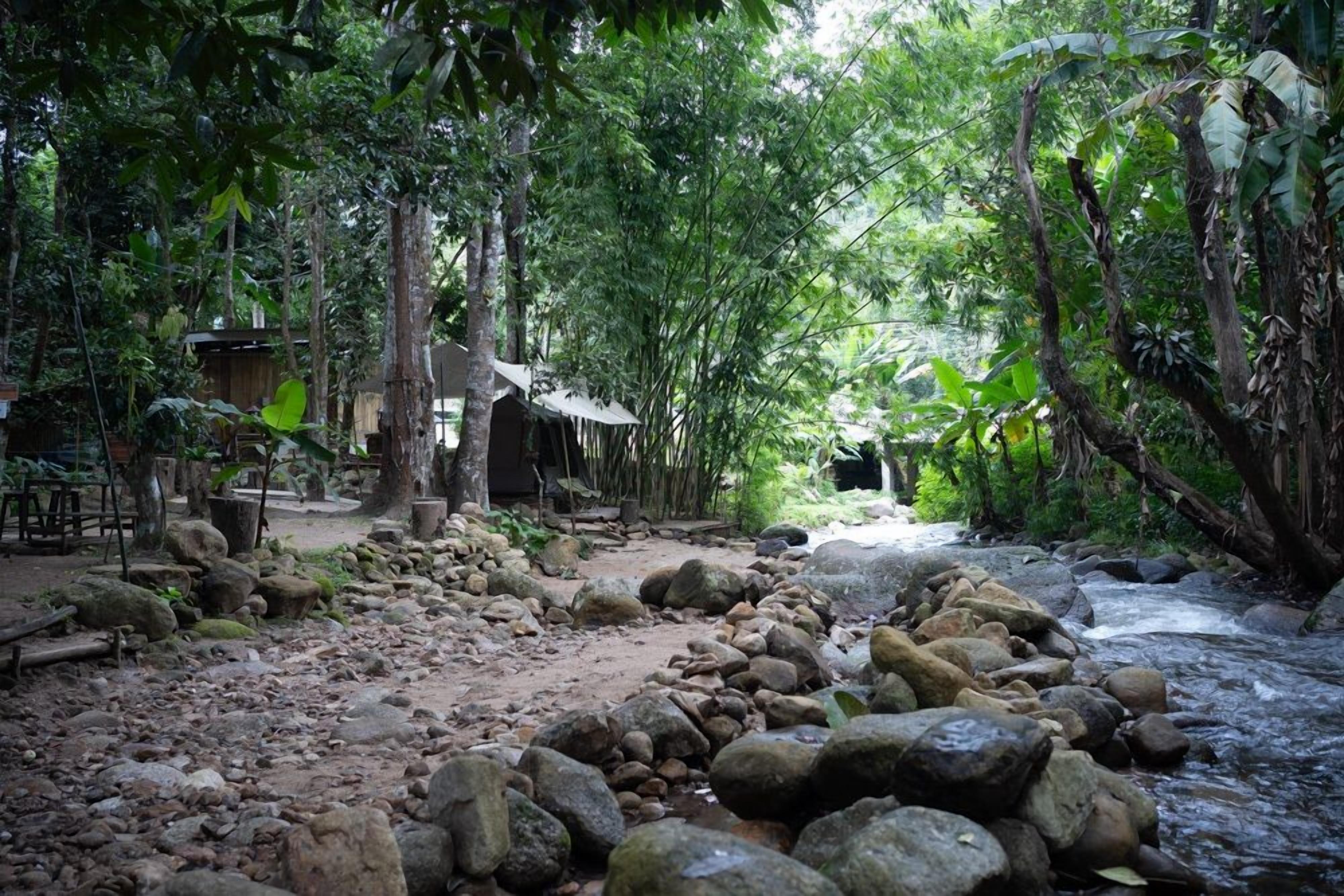 Un entorno natural al aire libre con un arroyo, rocas y árboles.