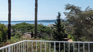 Un balcon doté d’une balustrade, donnant sur une zone côtière bordée de palmiers et offrant une vue sur la mer.