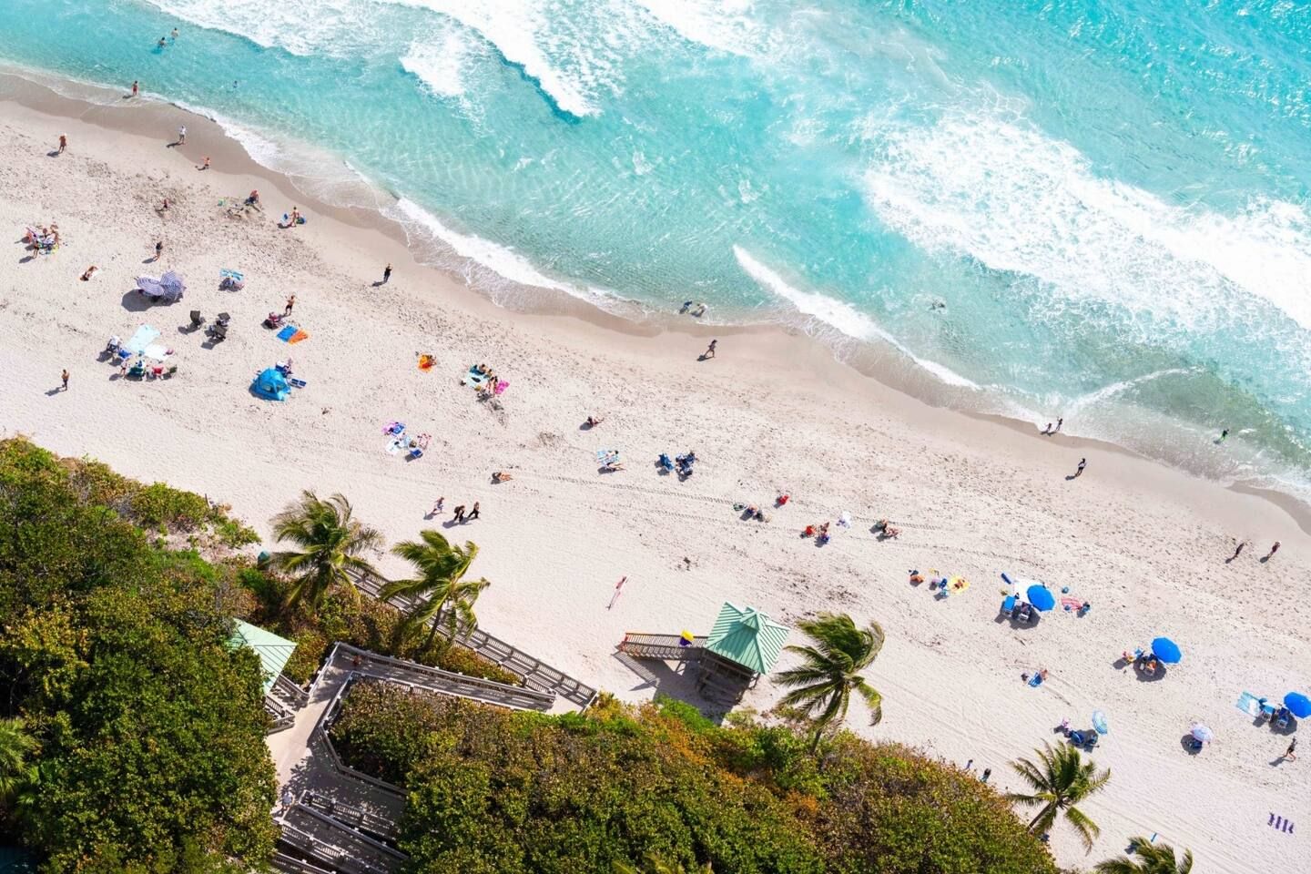 A beach with people, umbrellas, and palm trees.