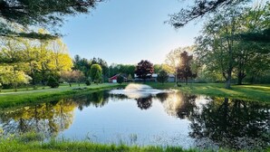 Ein ruhiger Teich, umgeben von üppigem Grün und Bäumen, mit einem Haus im Hintergrund.