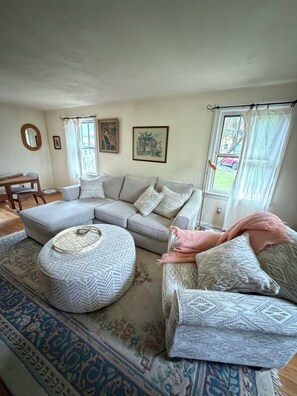 Smart TV, fireplace, video games, books
