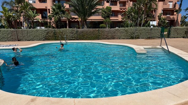 Une piscine à l’eau claire, entourée d’une haie basse et de palmiers.