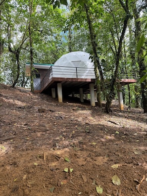 Property grounds - Deluxe Jungle Dome with King Bed & Deck (Provincia de Alajuela)