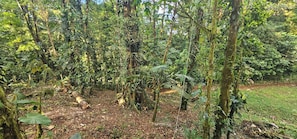 Miscellaneous - Deluxe Jungle Dome with King Bed & Deck (Provincia de Alajuela)