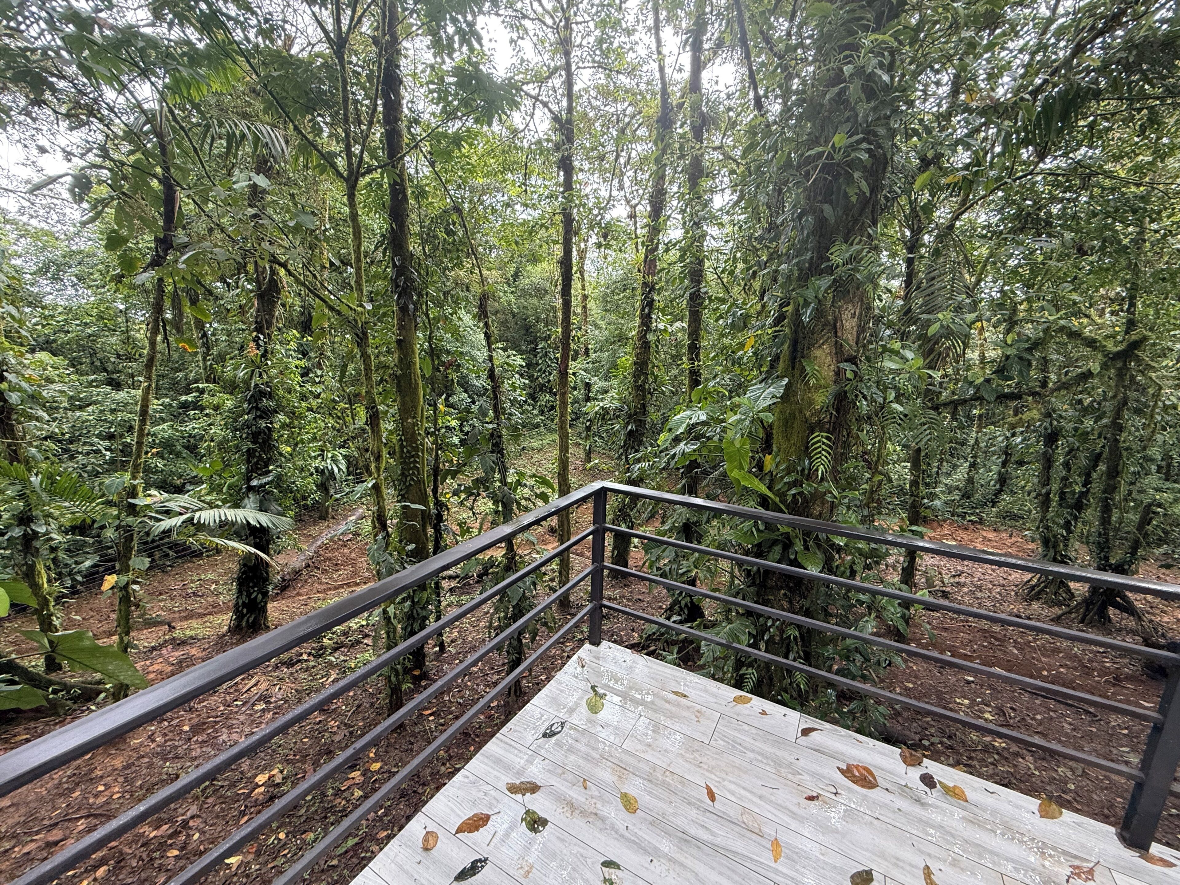 Terrain de l’hébergement 
