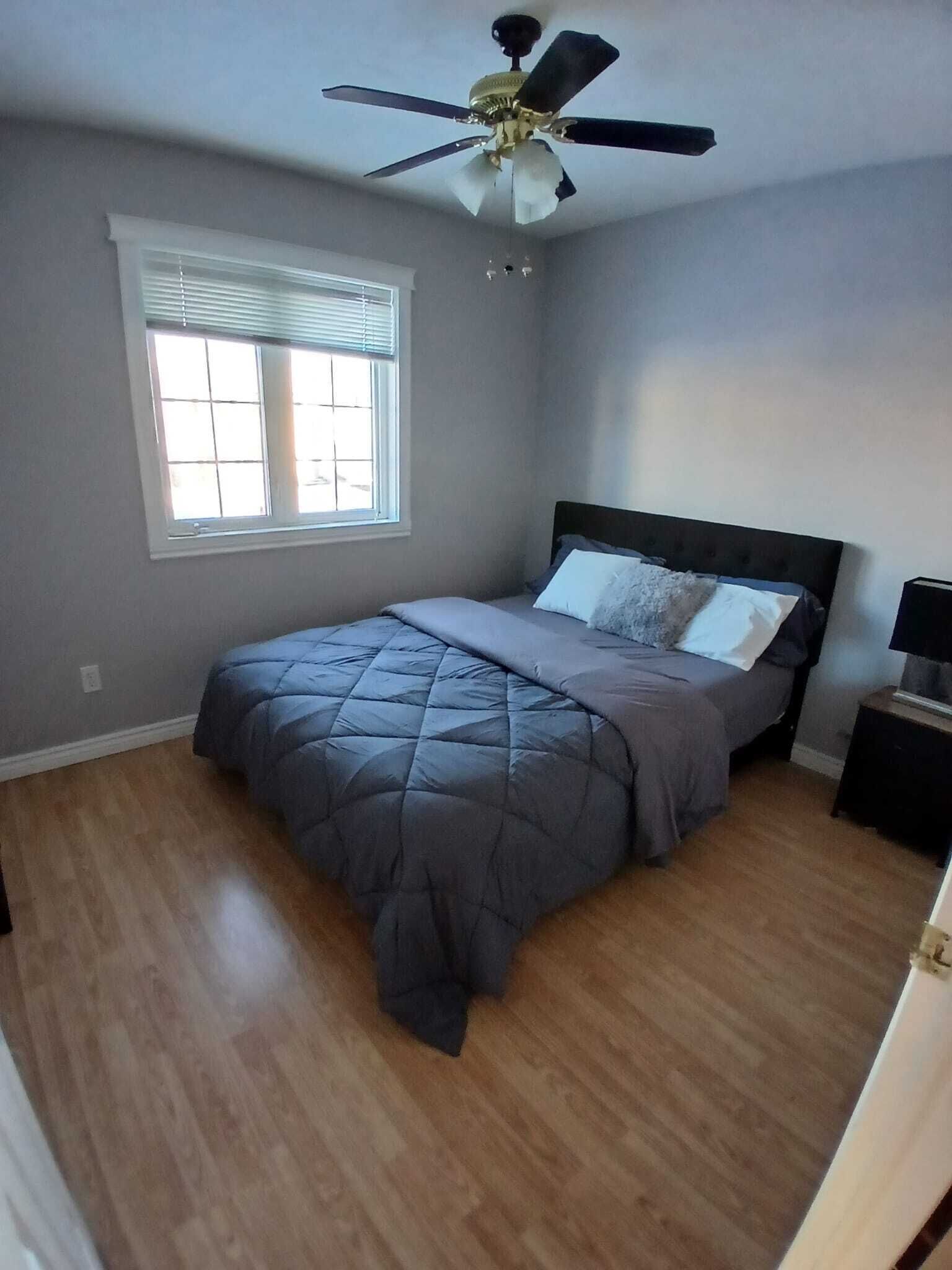 A bedroom with a bed, a ceiling fan, a window, and a nightstand.