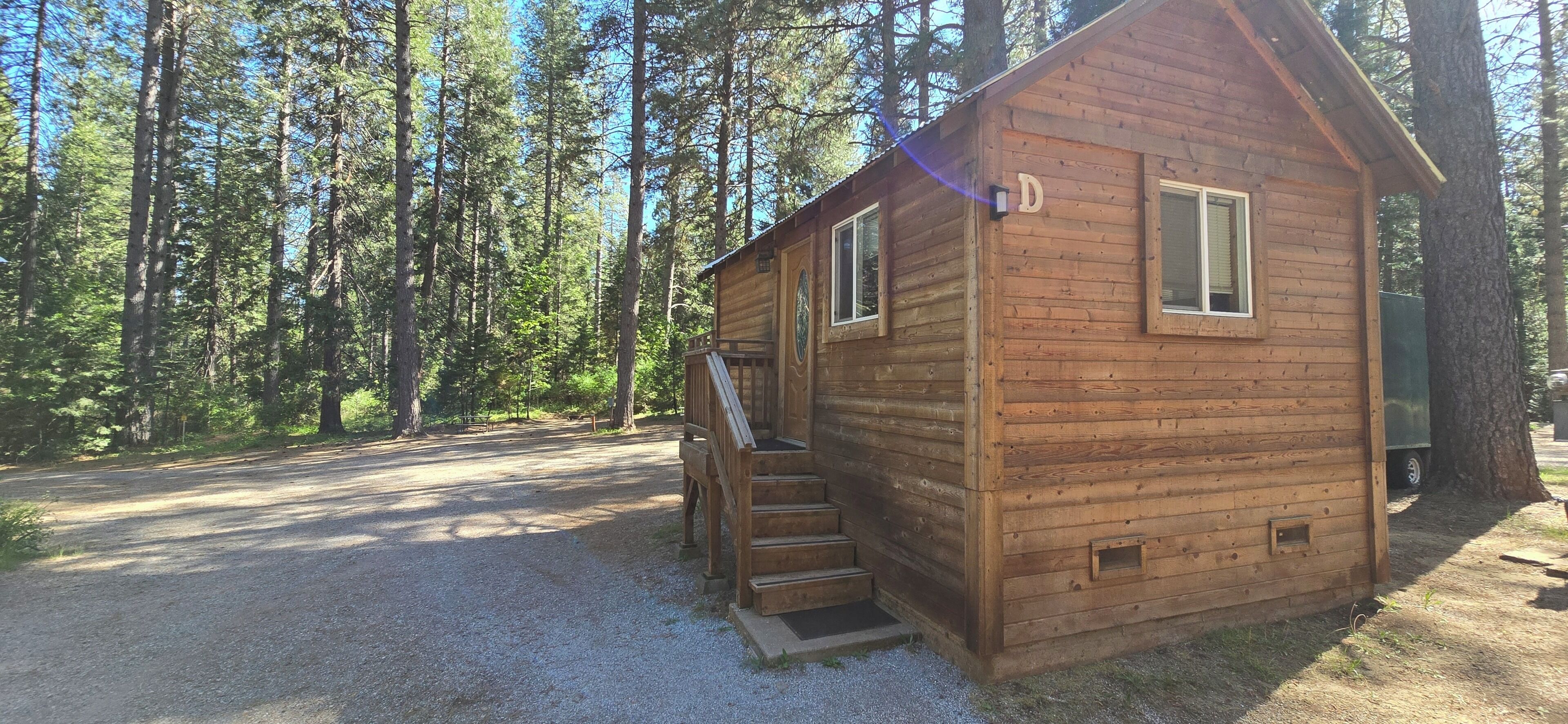 Una cabaña de madera con una escalera que lleva a una puerta, rodeada de altos árboles.