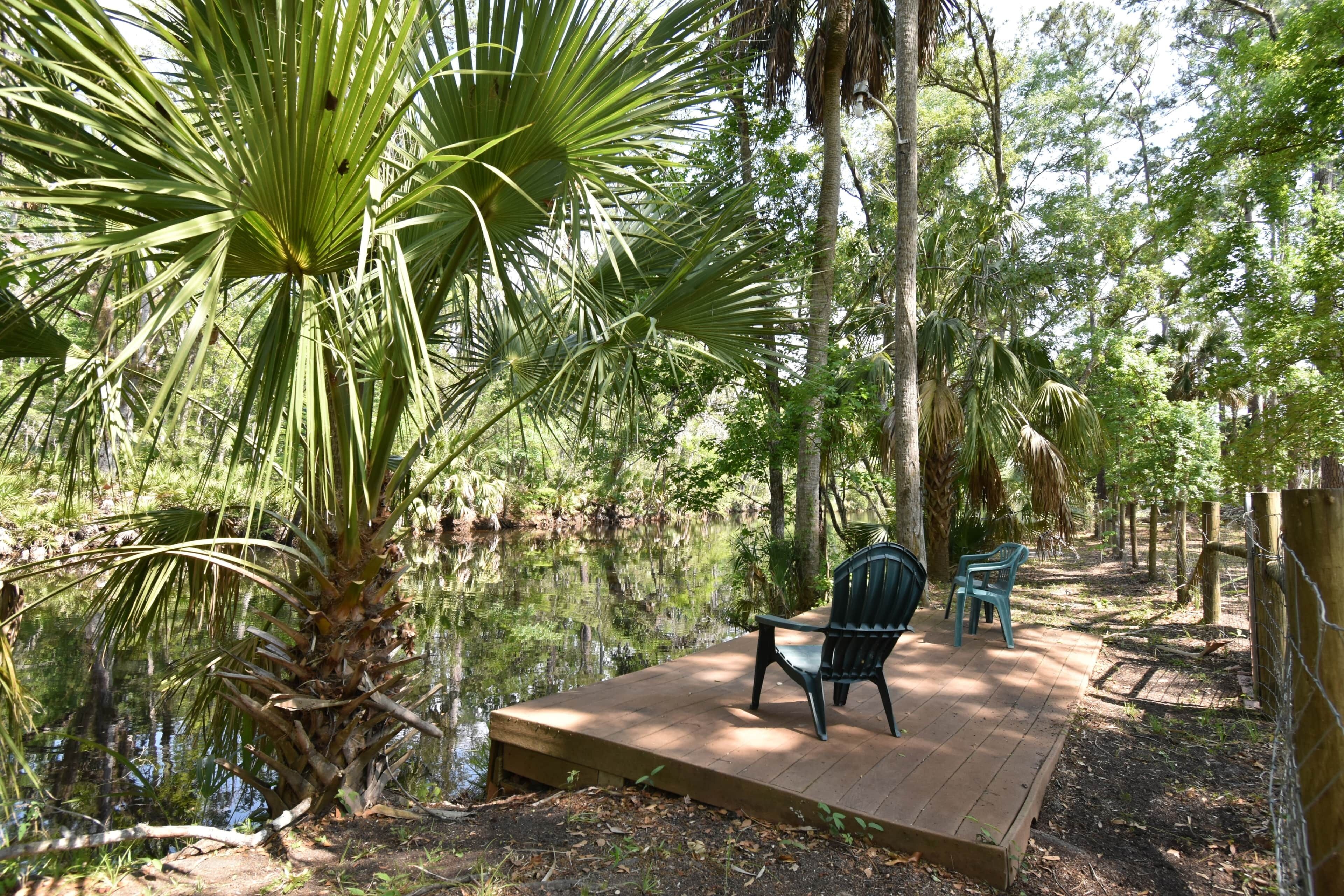 A wooden deck with chairs overlooking a calm body of water, surrounded by trees.