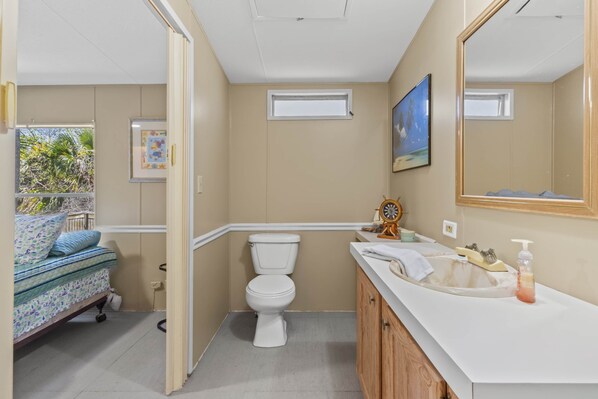 A bathroom with a toilet, sink, and mirror. There is a window above the toilet and another window above the sink. - The Lazy Lure - Steinhatchee Canal Front (Steinhatchee)