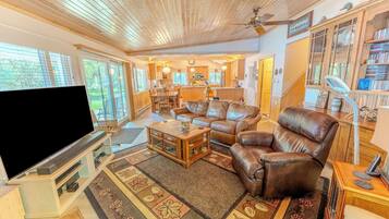 Smart TV, fireplace, books