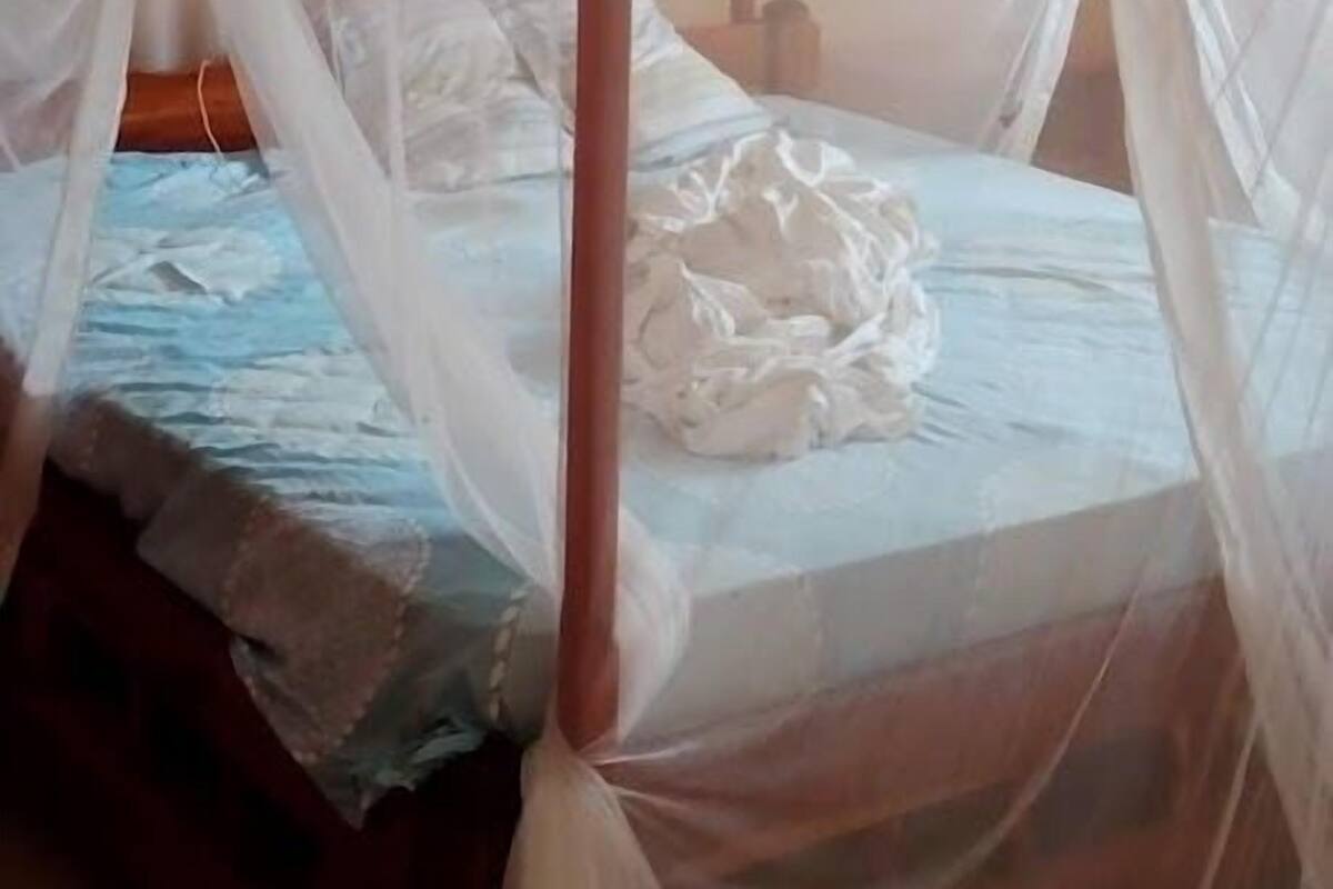 Una cama con dosel, un ventilador de techo y un cabecero de madera.