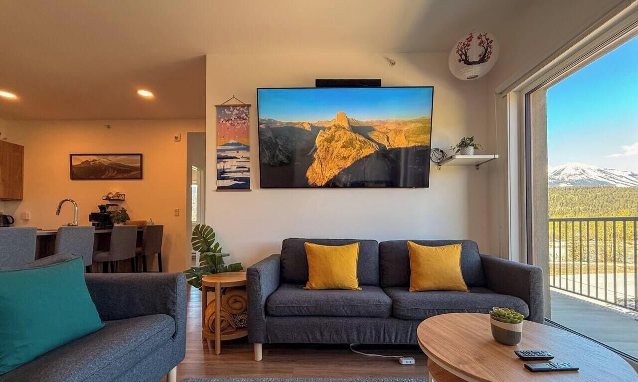 Smart TV, video games, stereo, computer monitors