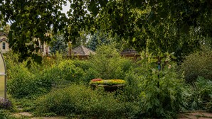 Ein Garten mit verschiedenen Pflanzen und einem zentralen Blumenbeet.