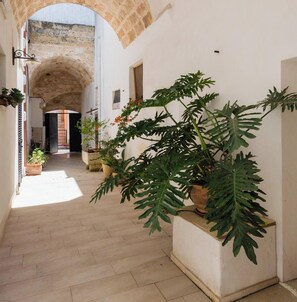 Un corridoio stretto con un arco in pietra, piante in vaso e pavimento piastrellato.