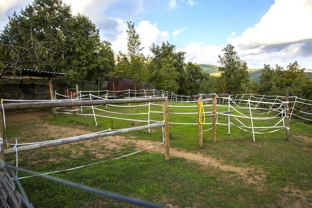 Un espacio al aire libre cercado, con una estructura de madera, cuerdas y un campo de césped.