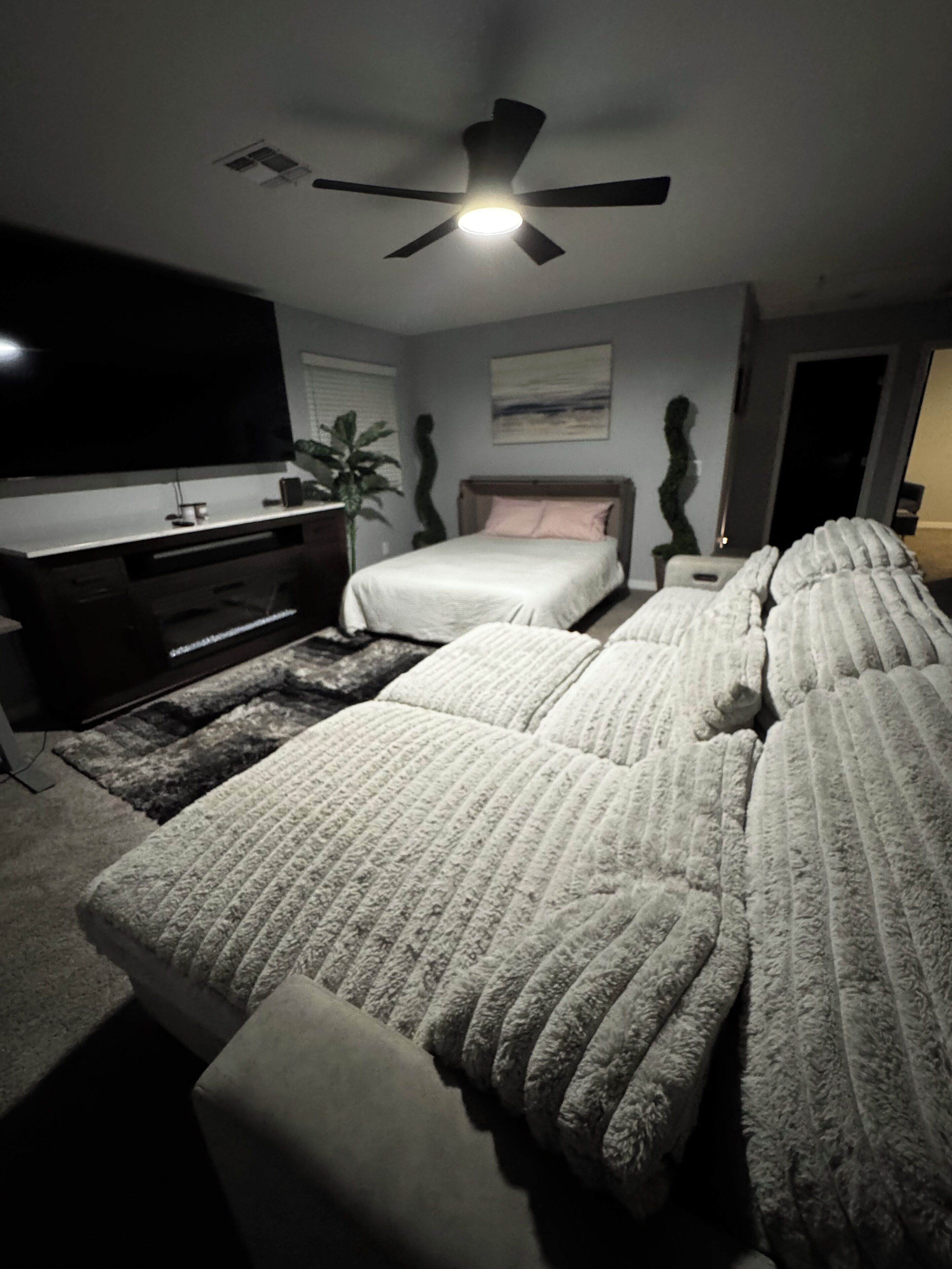 Une chambre à coucher avec un lit, une télévision, un ventilateur de plafond et une plante.