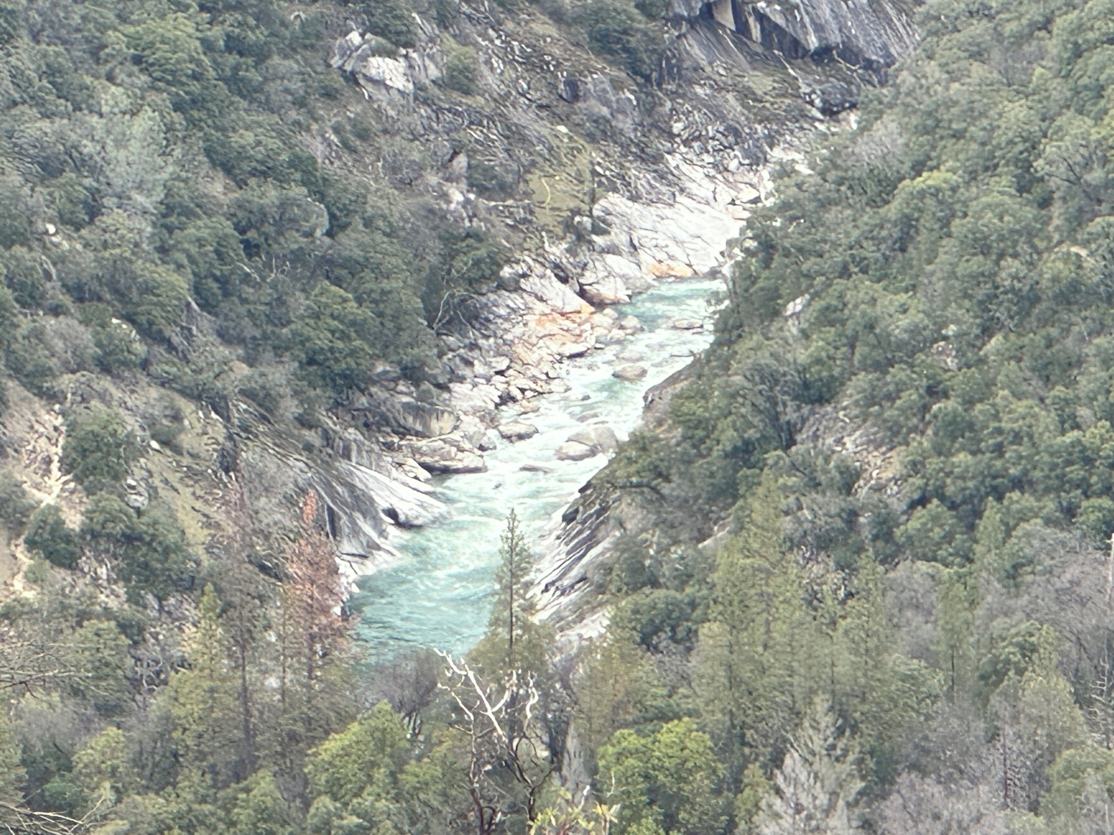 A river flowing through a mountainous area with dense forest on both sides.