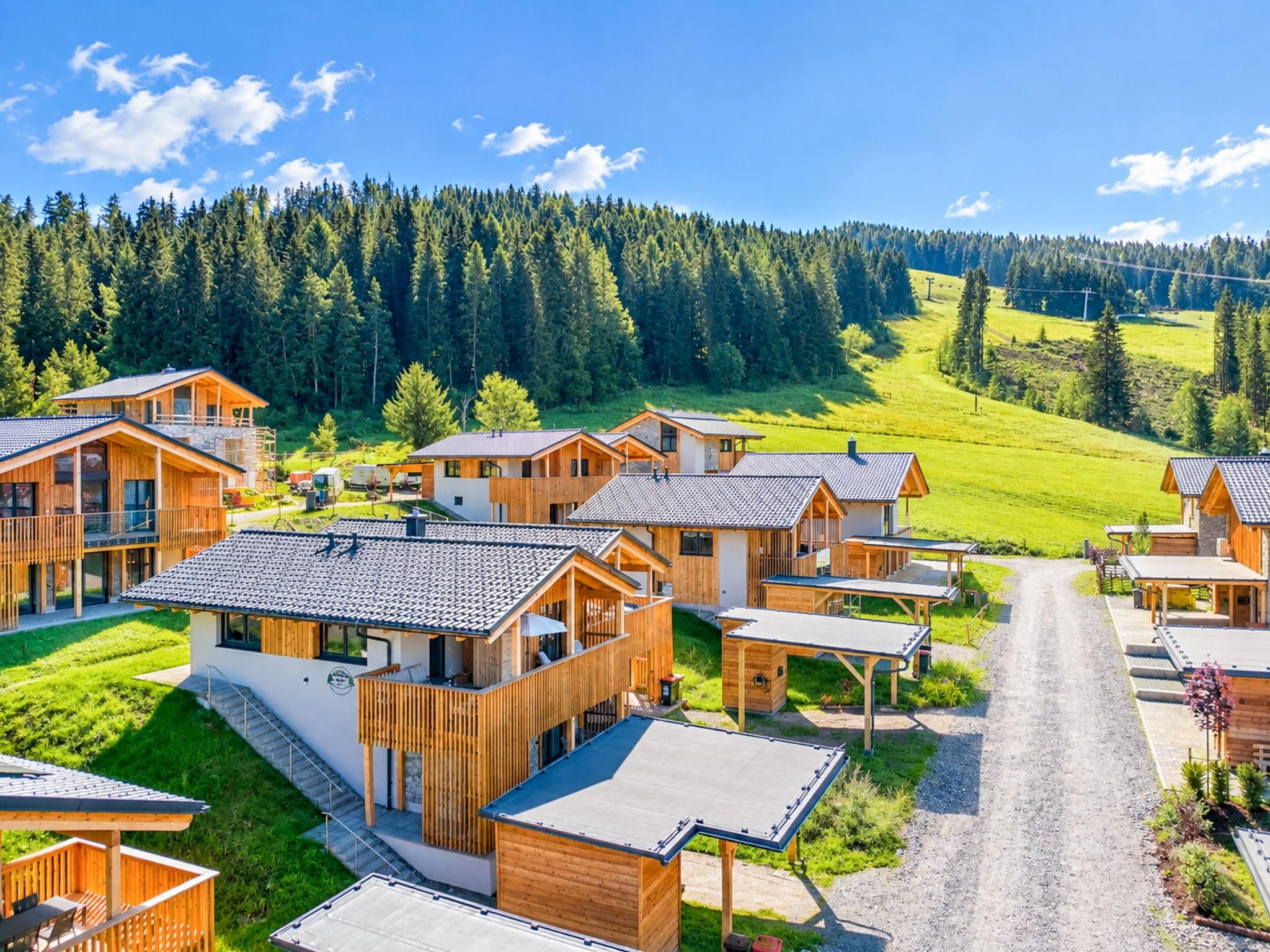 A cluster of wooden cabins with a gravel path leading through them, surrounded by a forested landscape.