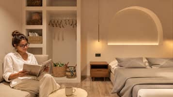 Deluxe Studio | Living area