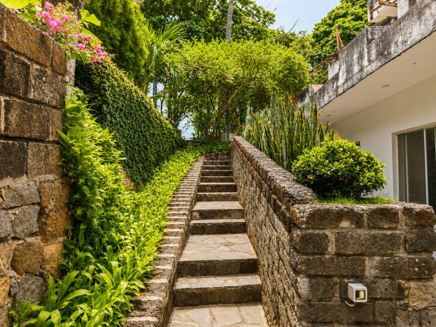 Una escalera de piedra que sube hacia un edificio, rodeada de vegetación exuberante y una planta en floración de color rosa.