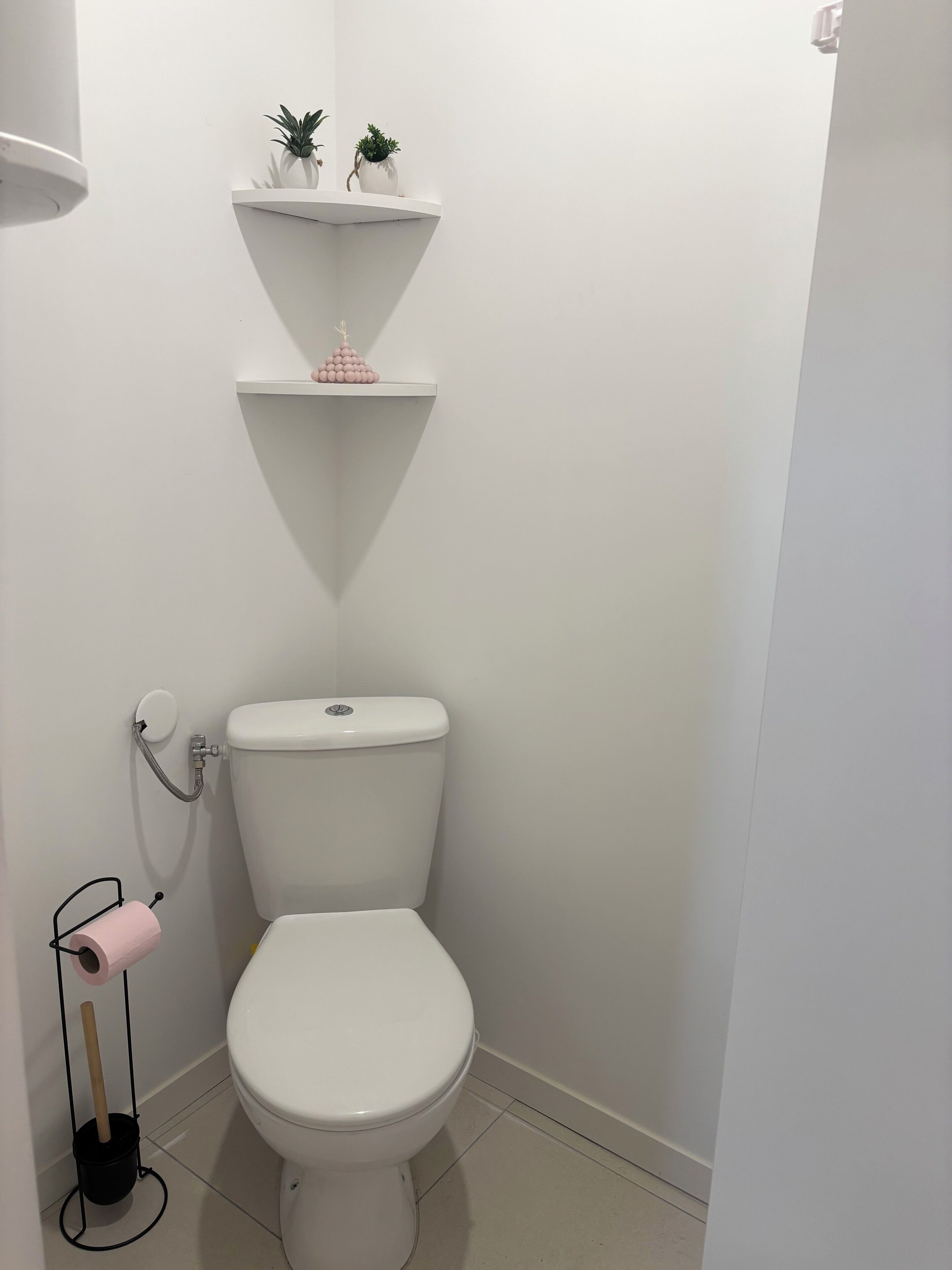 Een wit toilet met een tank, een hygiëneschuimer en een toiletrolhouder. Daarboven bevinden zich twee kleine plankjes met planten.