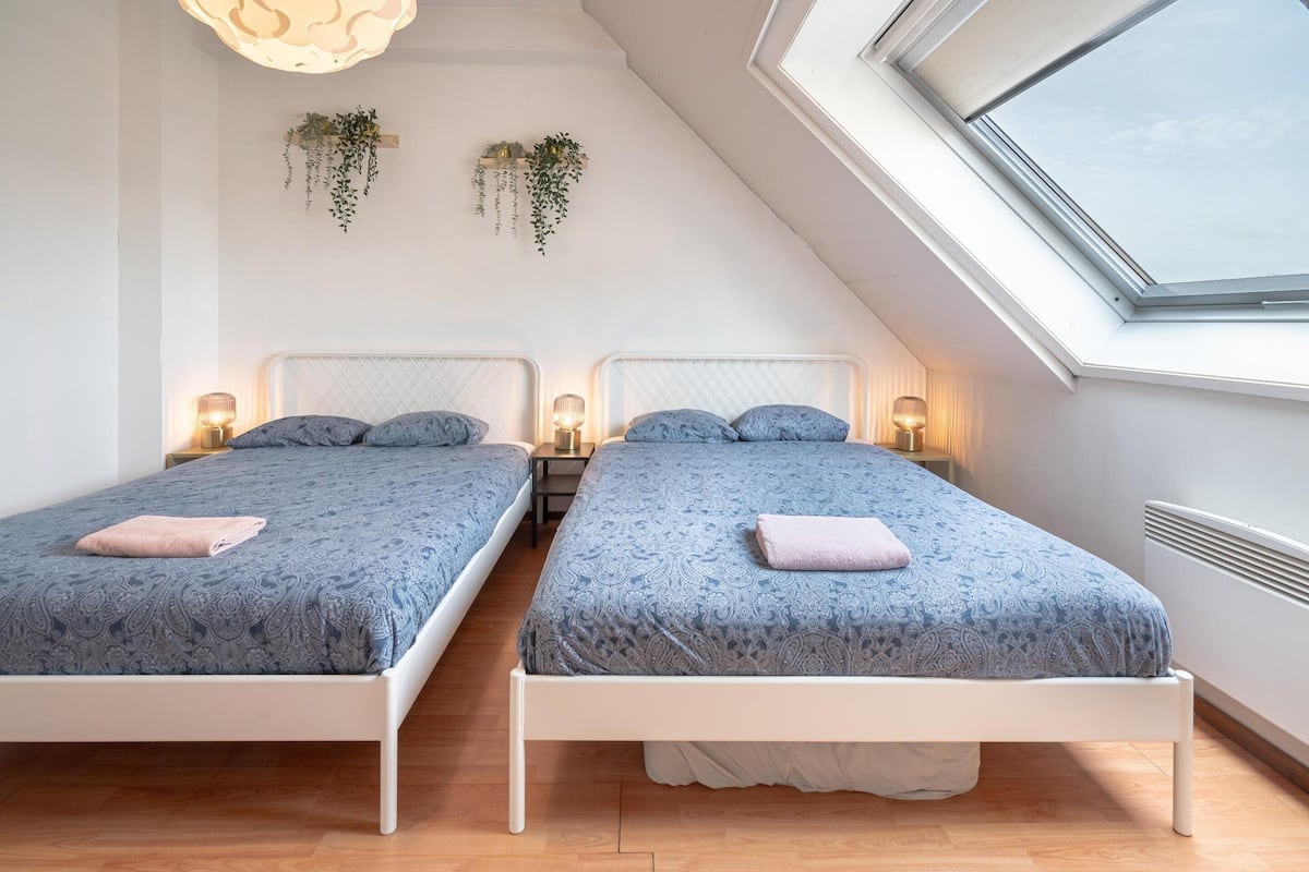 Un dormitorio con dos camas, un tragaluz y plantas colgantes.