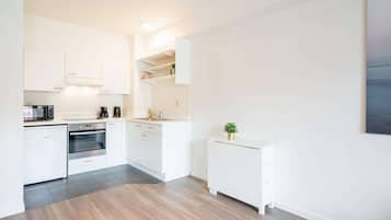 Superior Apartment, 2 Bedrooms | Private kitchen